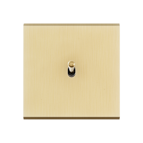 MODELEC schakelaar geborsteld messing