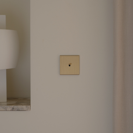 MODELEC schakelaar geborsteld messing